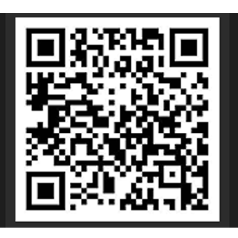 牛策略有限公司