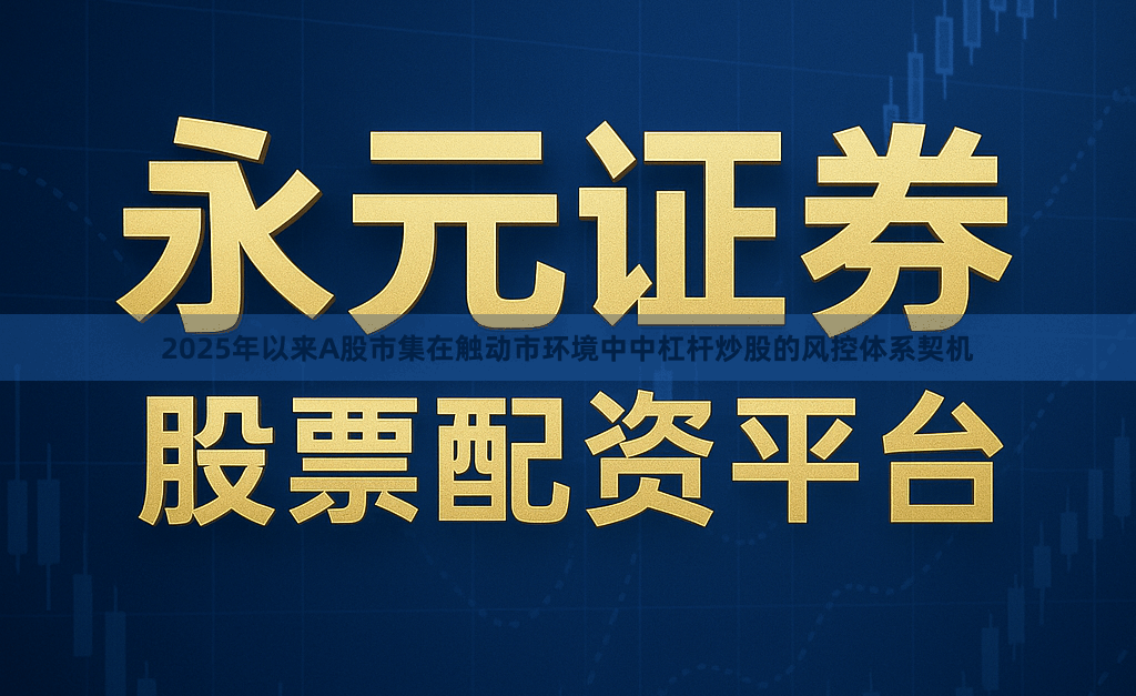 2025年以来A股市集在触动市环境中中杠杆炒股的风控体系契机