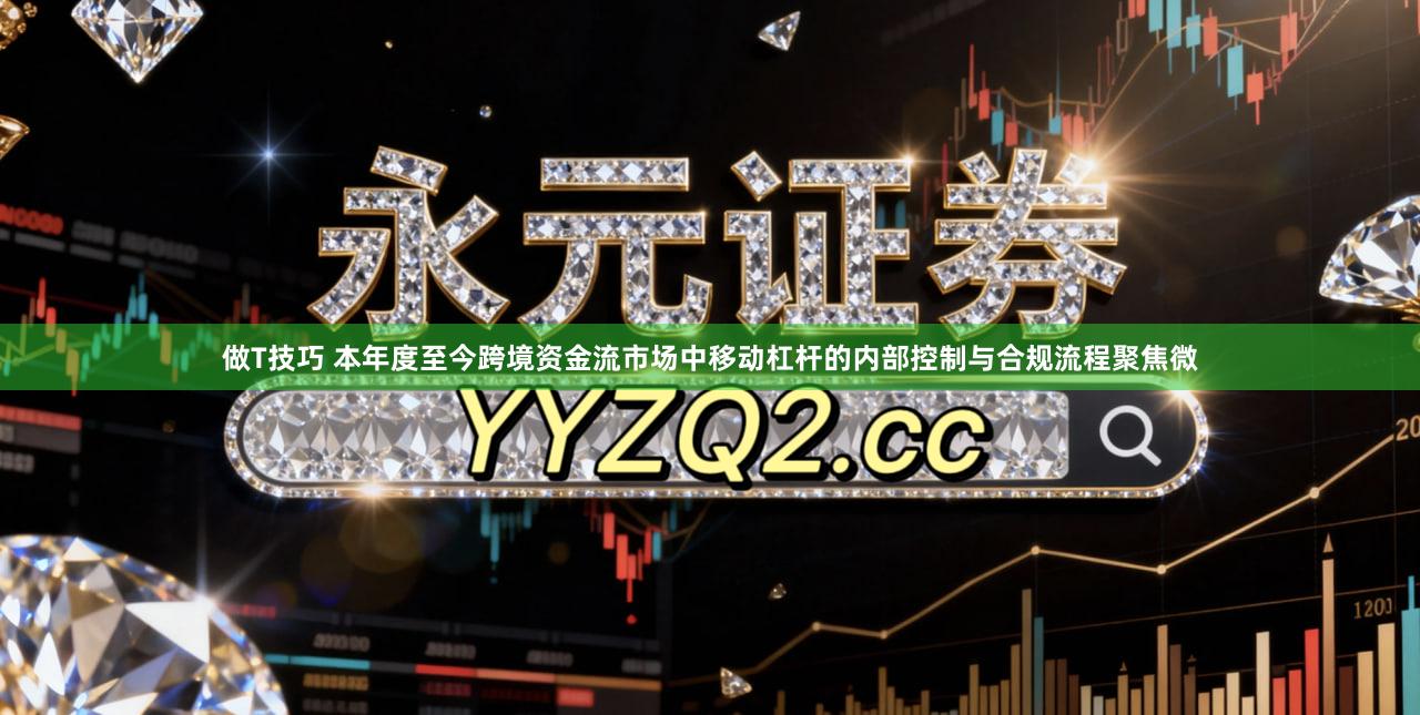 做T技巧 本年度至今跨境资金流市场中移动杠杆的内部控制与合规流程聚焦微
